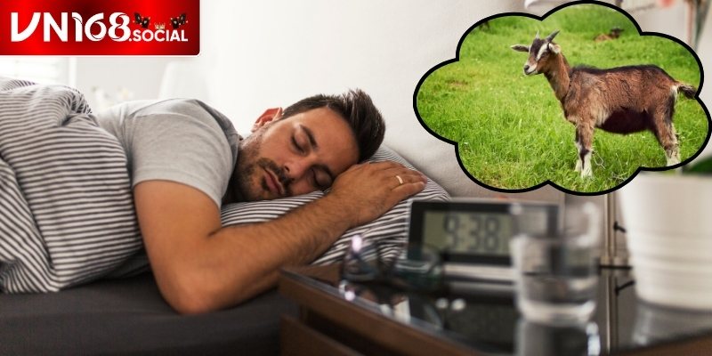 Mơ thấy dê thì đánh con gì khi chúng đẻ con