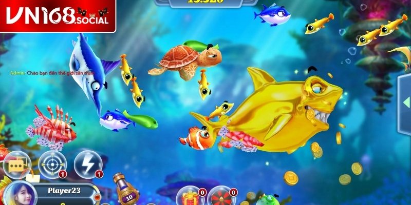 Những loại cá đặc biệt chỉ có tại VN168