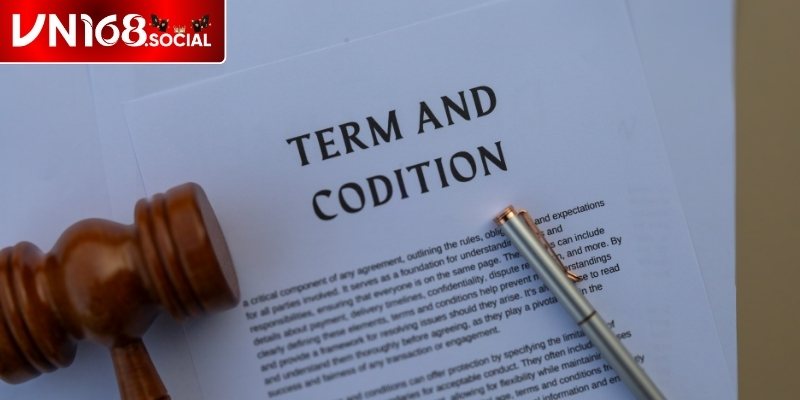 Tổng quan chi tiết điều khoản dịch vụ